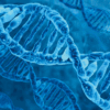 3D postkaart "DNA"