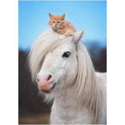 3D postkaart "Hobune ja kass"