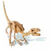 Väljakaevamiskomplekt "Velociraptor"