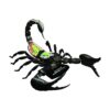 4D Anatoomiamudel Skorpion