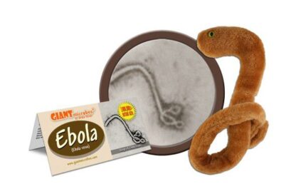 Ebolaviirus