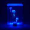 JellyFish akvaarium