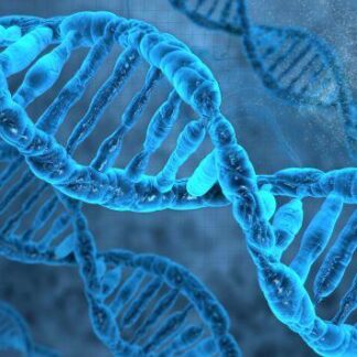 3D postkaart "DNA"
