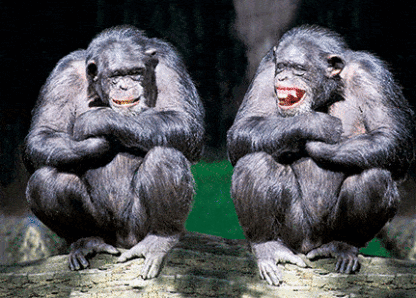 3D postkaart "Simpansid"
