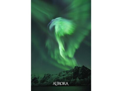3D postkaart "Aurora"
