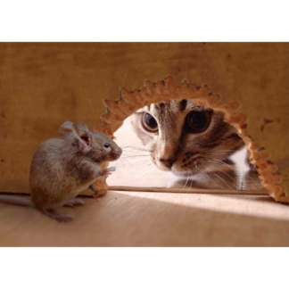 3D postkaart "Kass ja hiir"