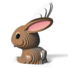 EUGY rabbit 071