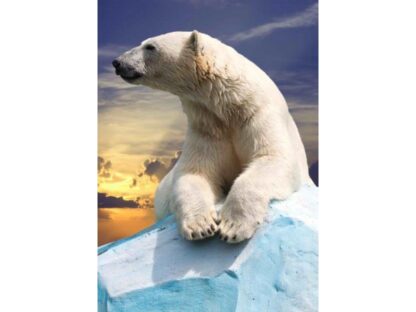 3d postkaart jääkaru