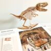 Raamat Dinosauruste 3D-maailm
