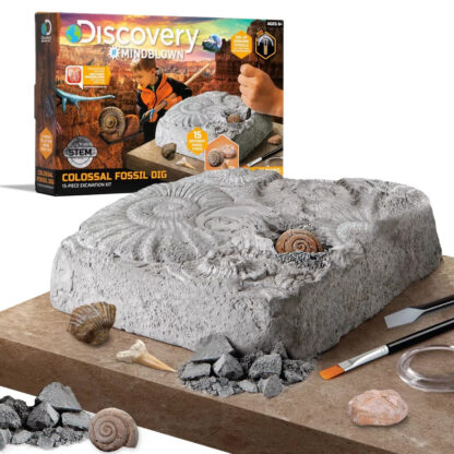 Discovery Colossal Fossil Dig 15pc Excavation Kit