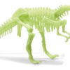 Pimedas helendav dinosauruse skelett "T-Rex"