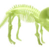 Pimedas helendav dinosauruse skelett "Tritseeratops"