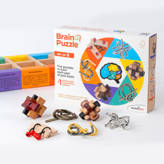 Nuputamisvigurite komplekt Brain Puzzle