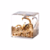 Skorpion liival