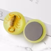 Magnet Ämblik , magnet päris putukatega, putukas klaasis