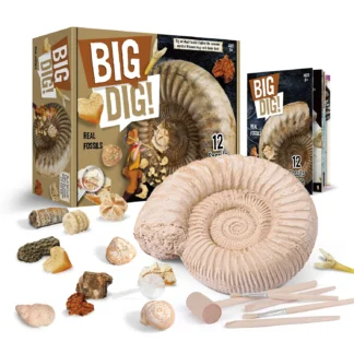 BIG DIG! Tõelised fossiilid
