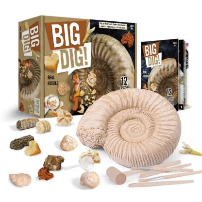 BIG DIG! Tõelised fossiilid