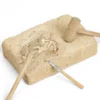 Väljakaevamiskomplekt "Pterosaurus"