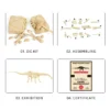 Väljakaevamiskomplekt "Diplodocus"