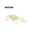 Väljakaevamiskomplekt "Pliosaurus"