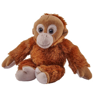 Orangutan