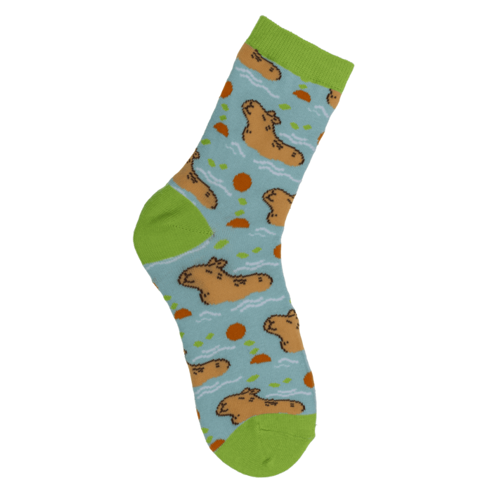 Maagilised laste sokid "Kapibaara"