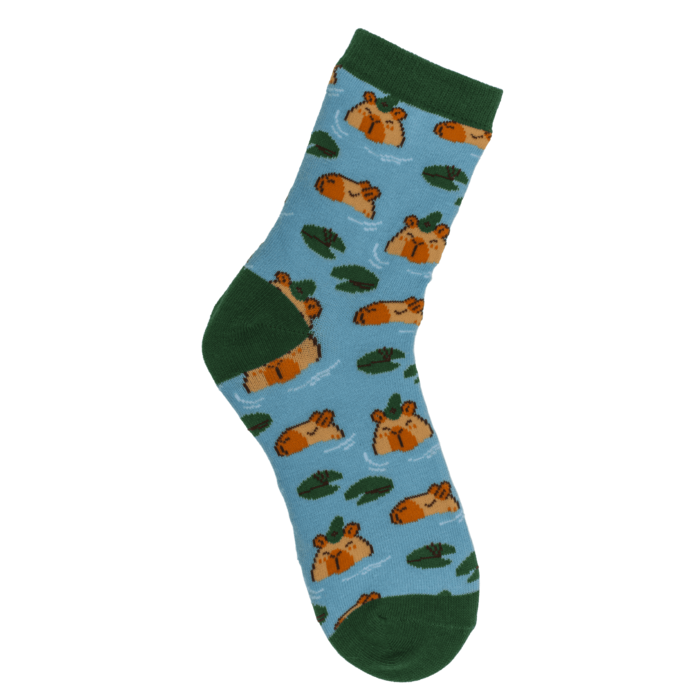 Maagilised laste sokid "Kapibaara"