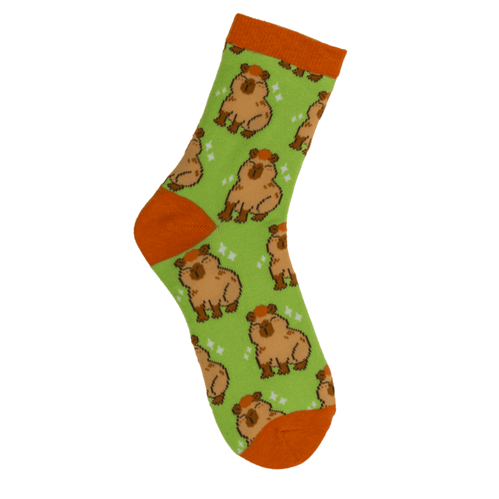 Maagilised laste sokid "Kapibaara"