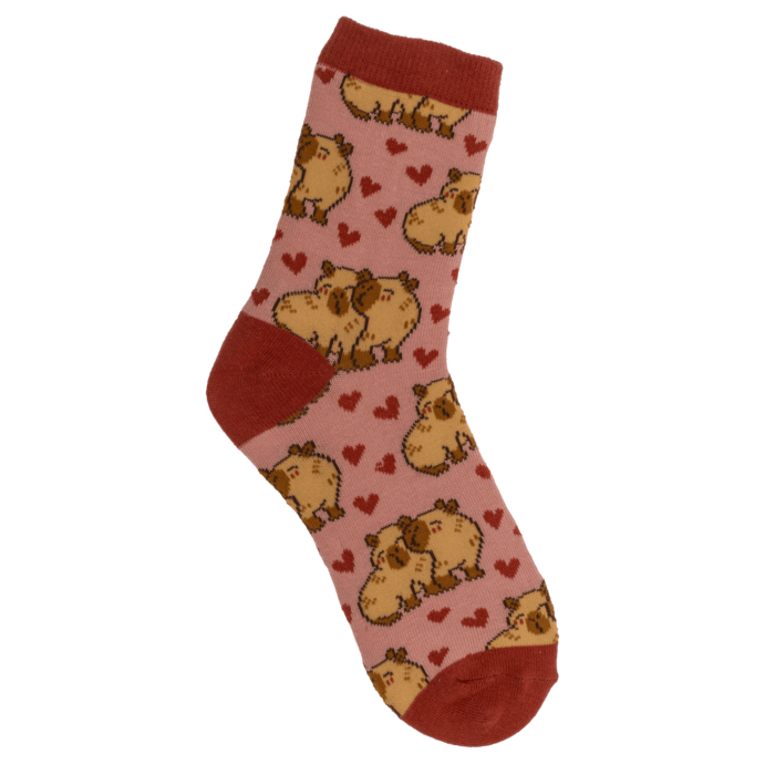 Maagilised laste sokid "Kapibaara"