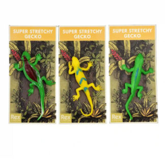 erinevat värvi sisalikud