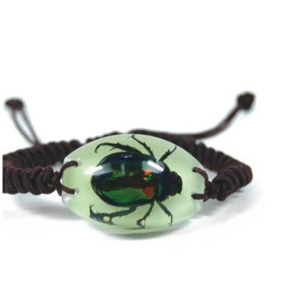 Käevõru Rohemardikas