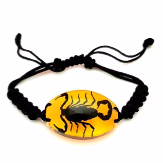 Käevõru Skorpion oranž