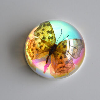 Müstiline ööliblikas