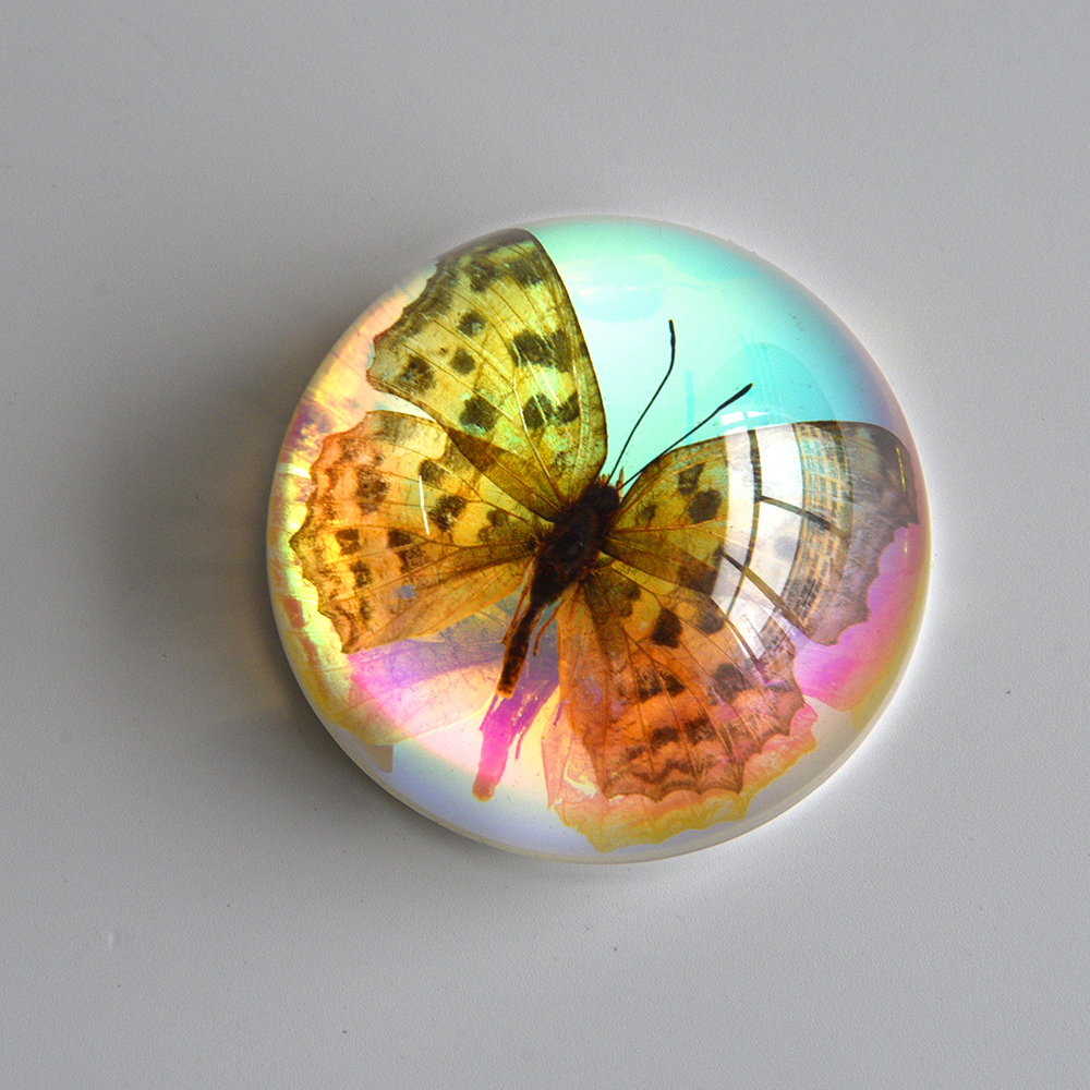 Müstiline ööliblikas