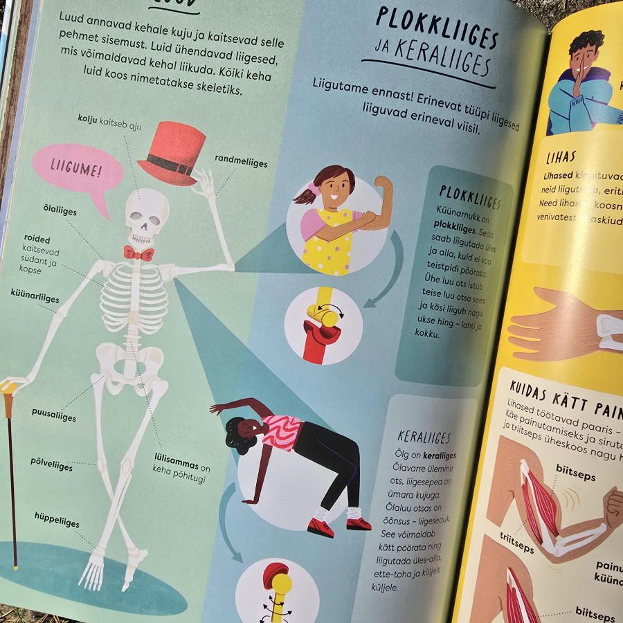 Raamat "Milles on tegelikult päriselt erinevus?"