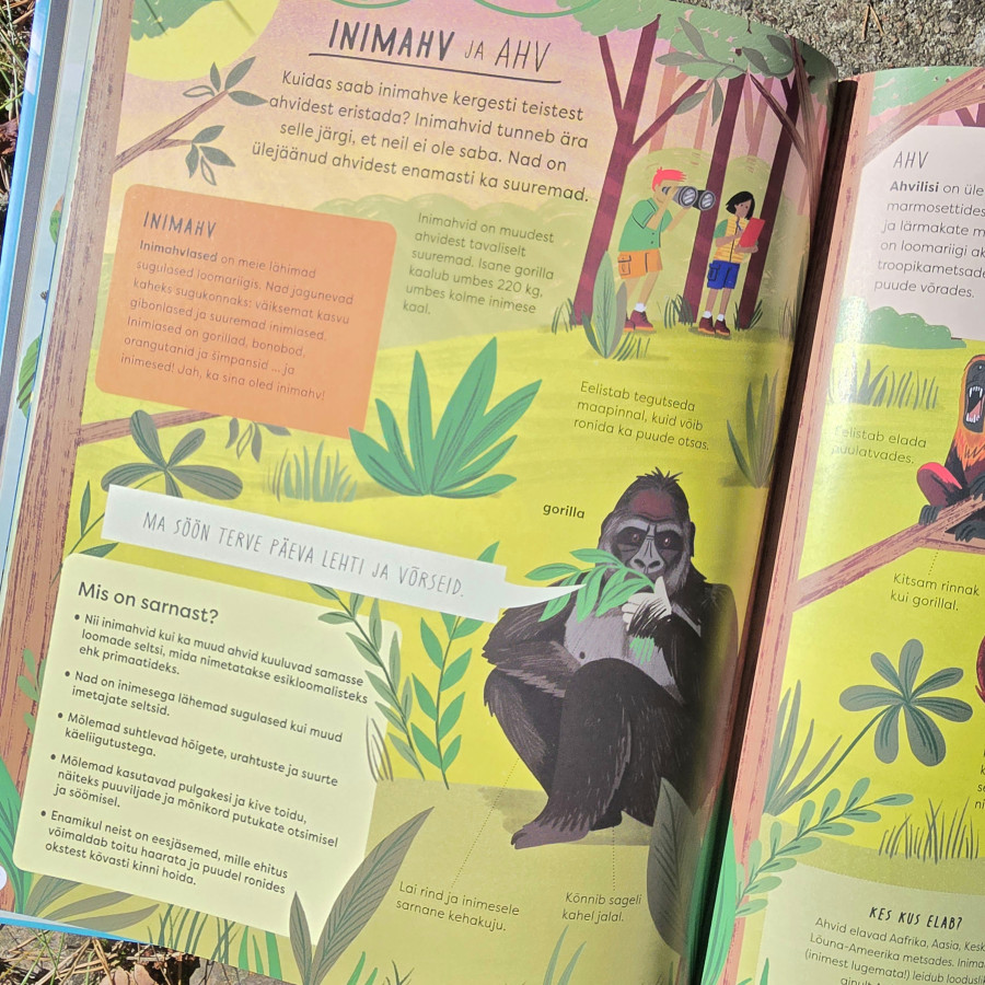 Raamat "Milles on tegelikult päriselt erinevus?"