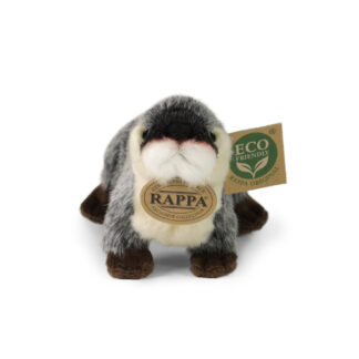 Rappa Saarmas