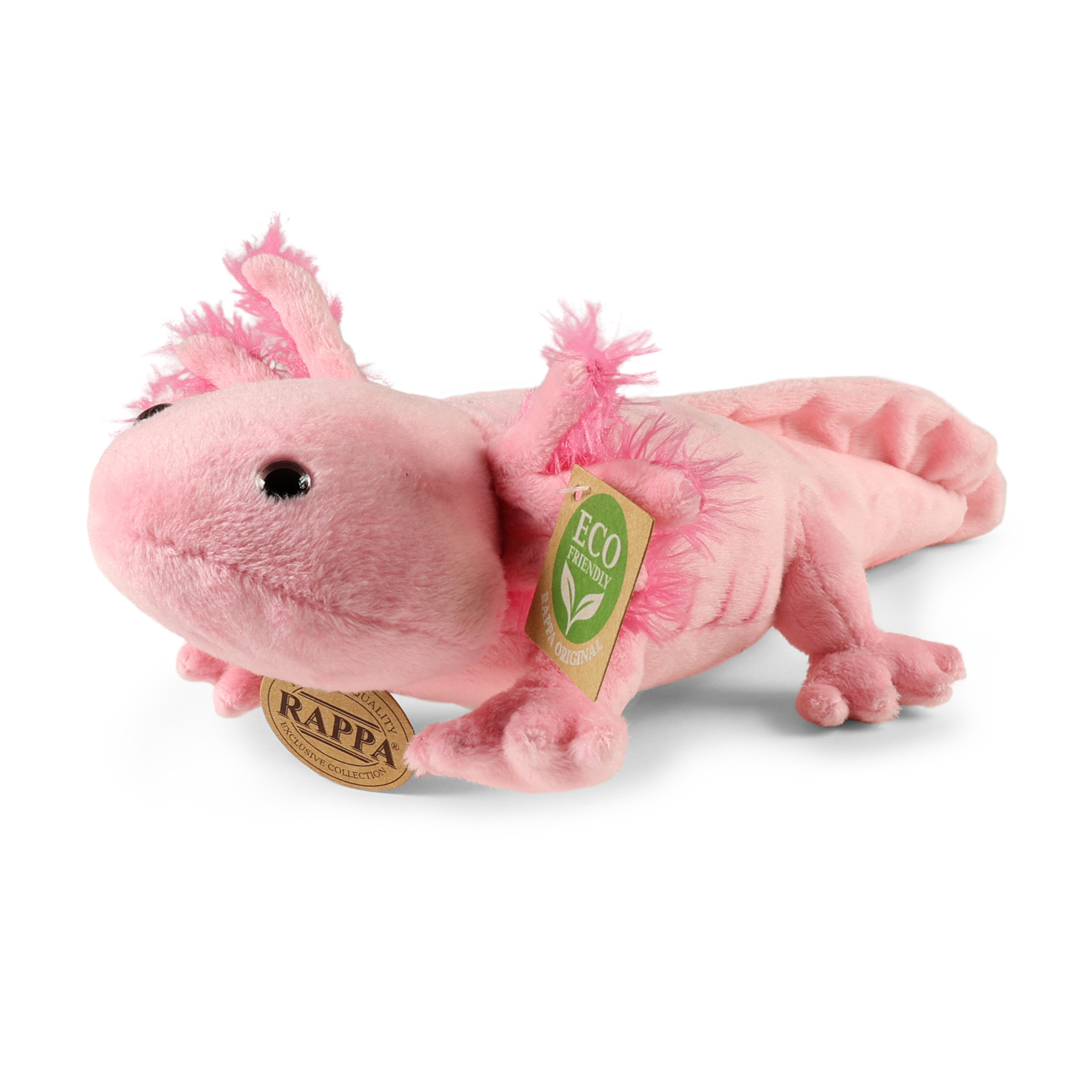 Rappa Axolotl
