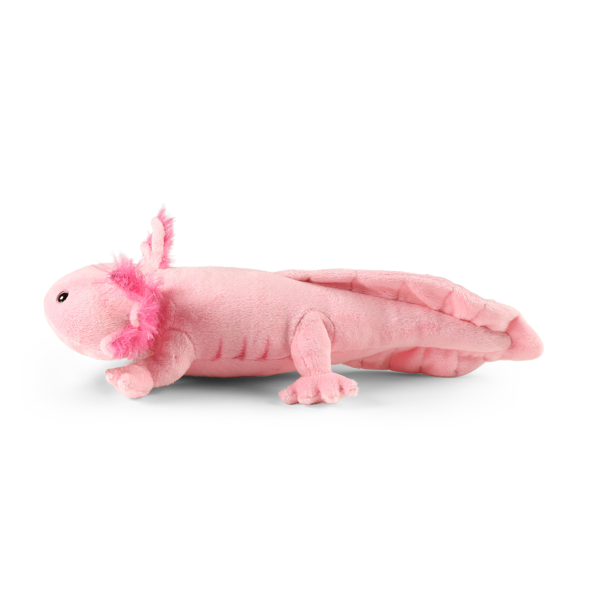 Rappa Axolotl