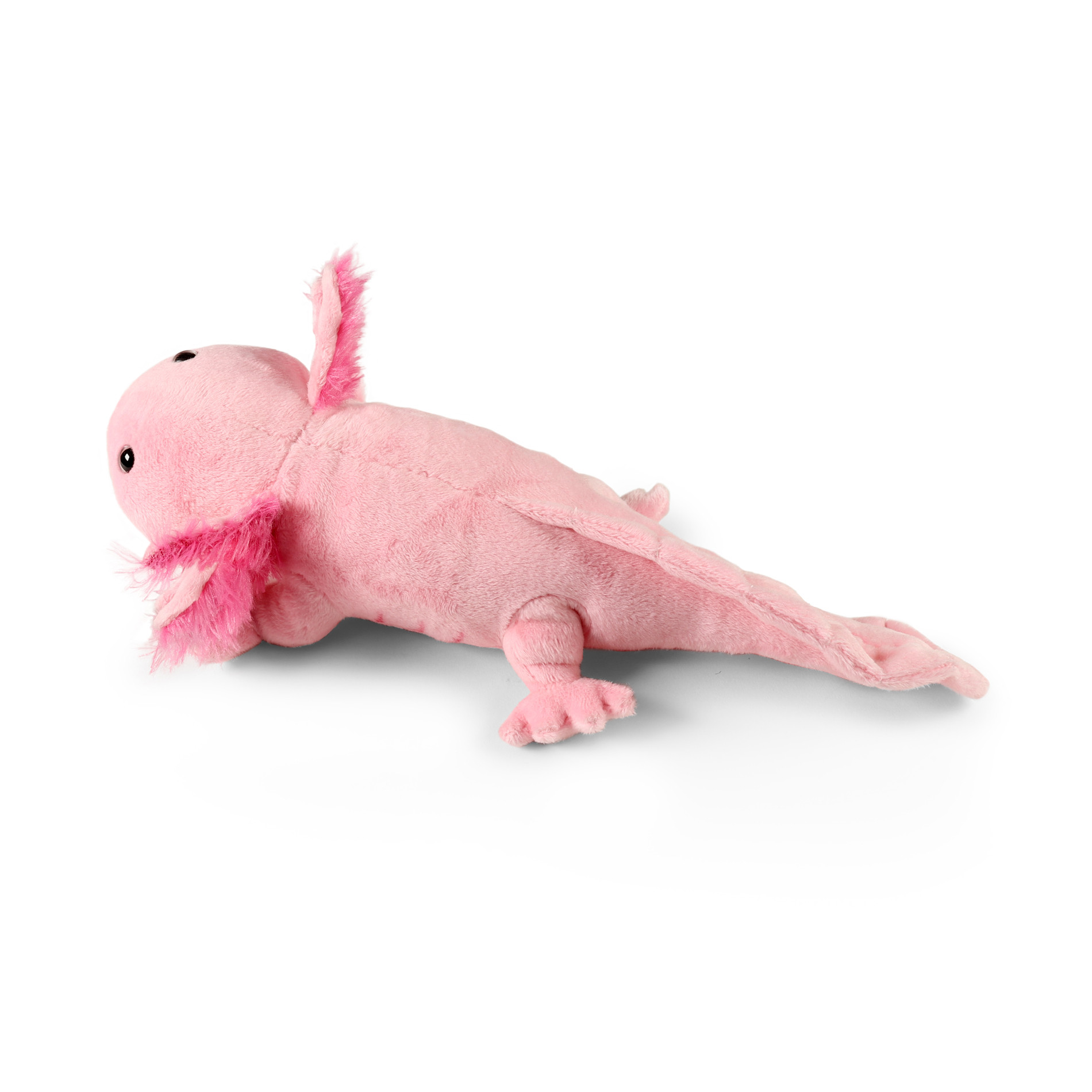 Rappa Axolotl