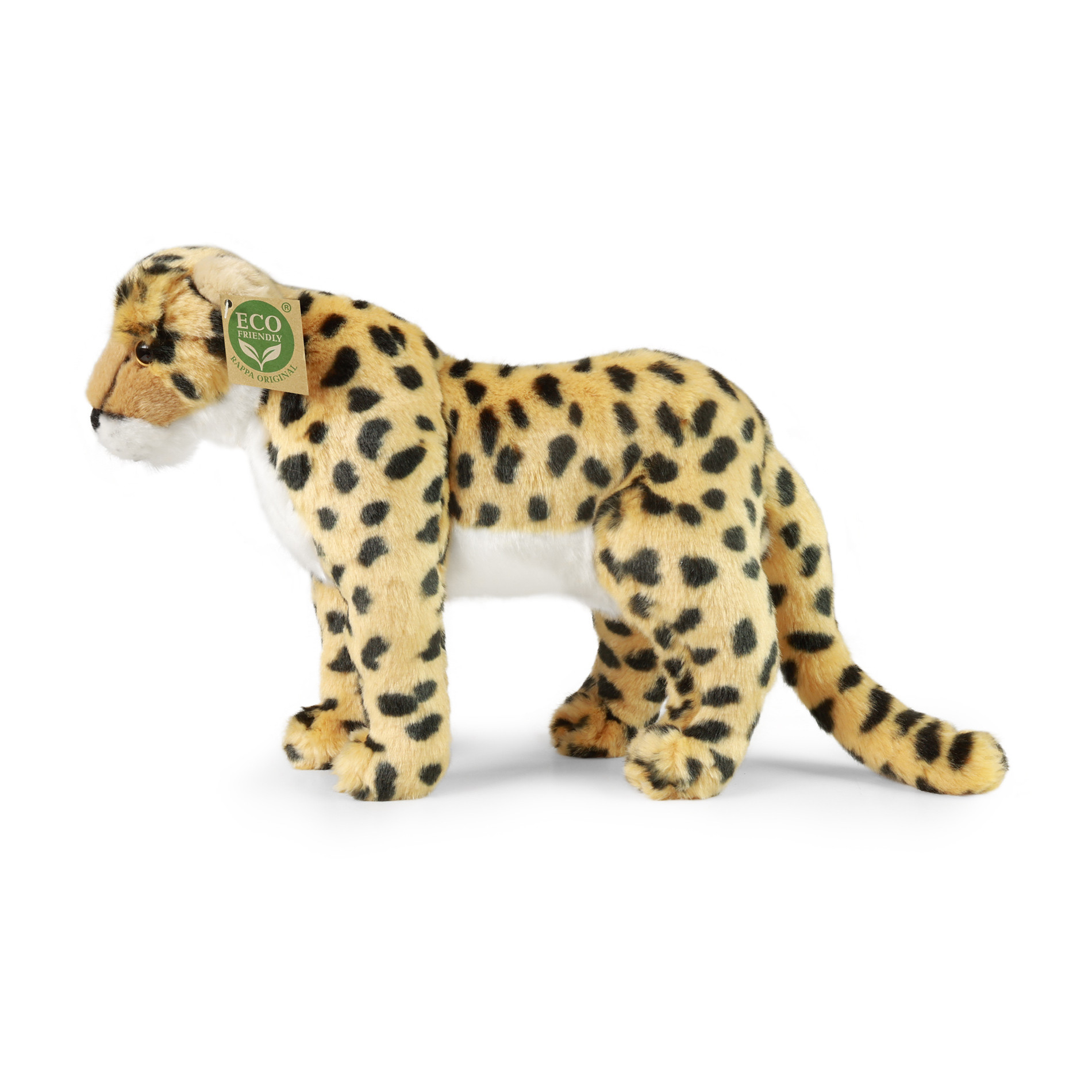 Rappa Gepard