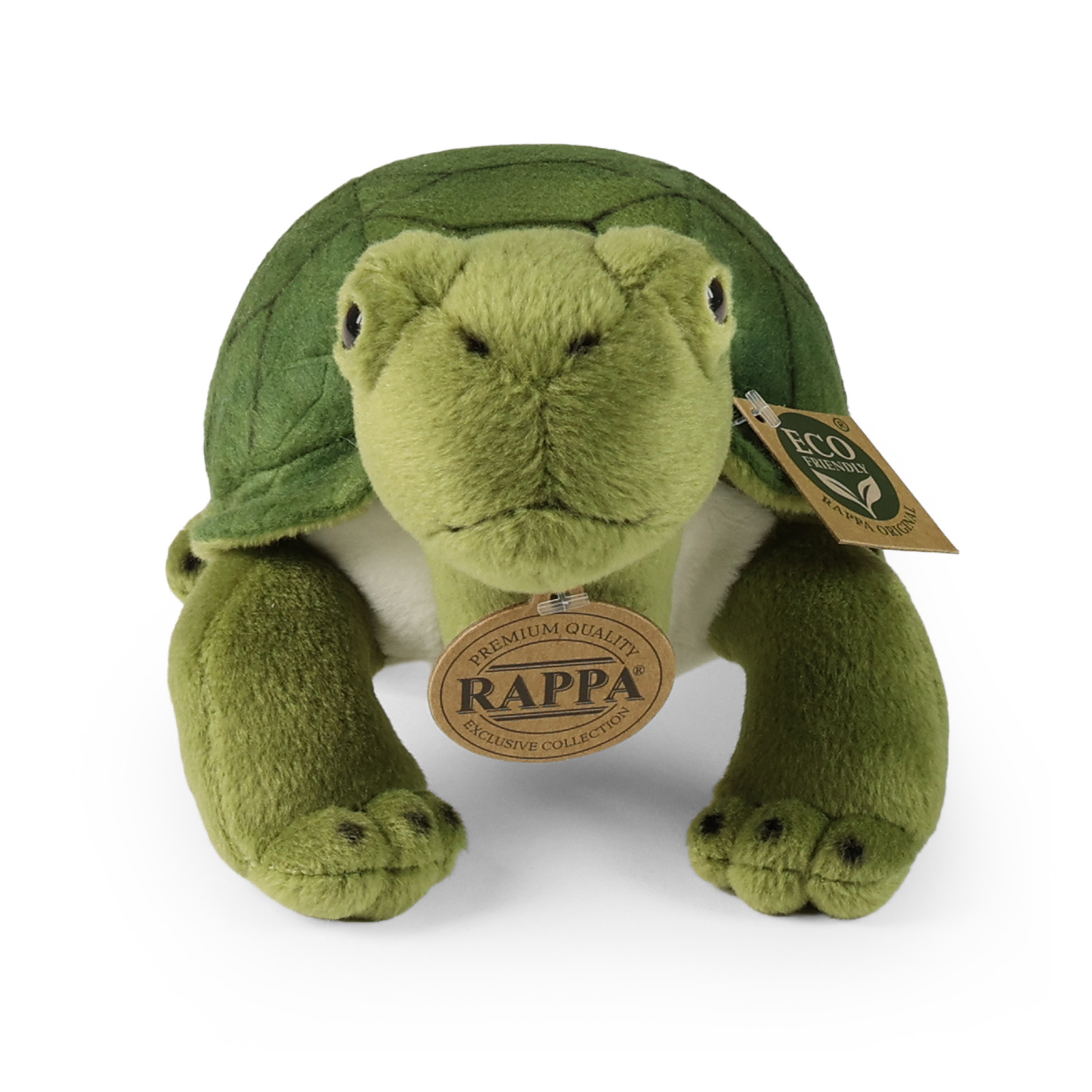 Rappa Kilpkonn
