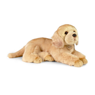 Rappa Kuldne retriiver