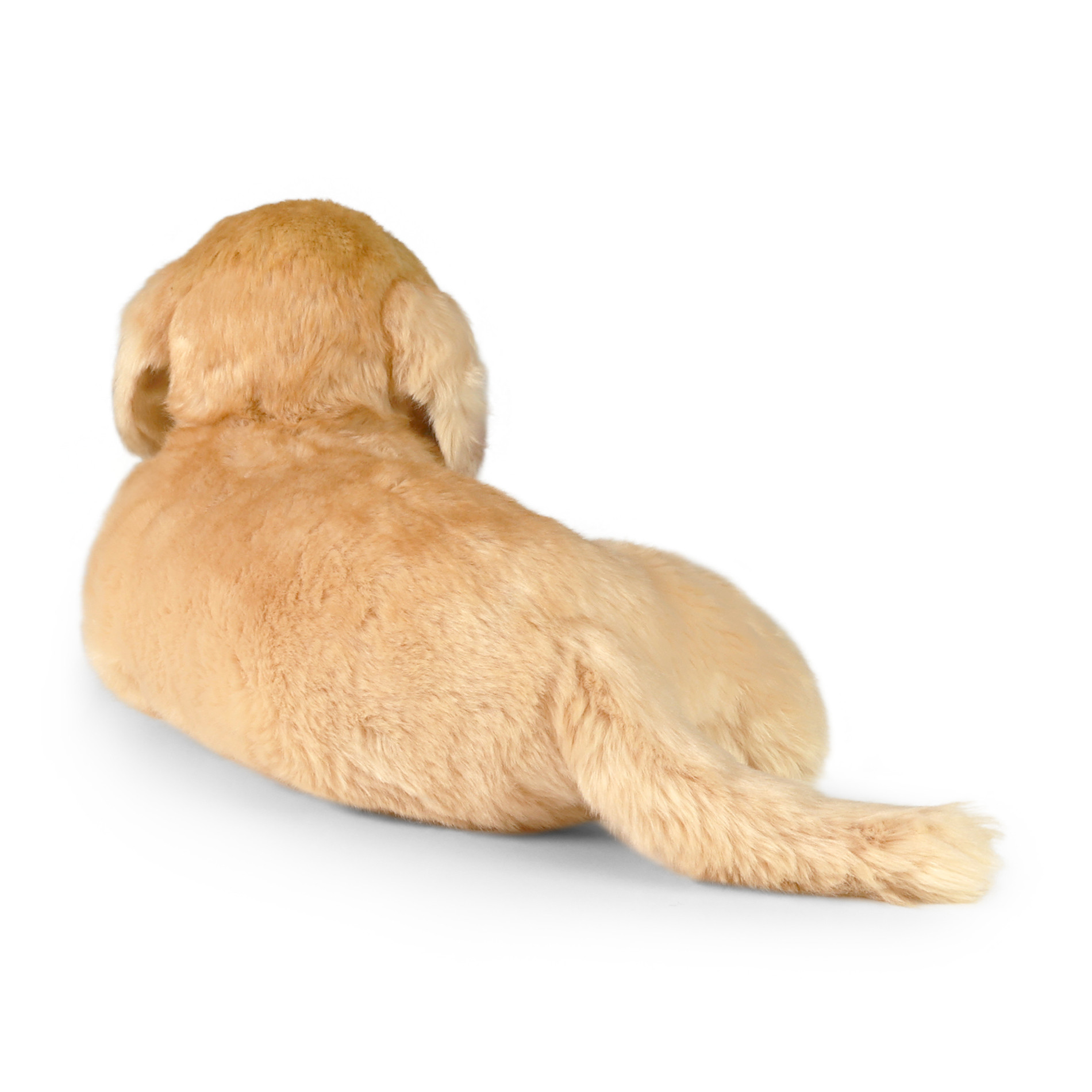 Rappa Kuldne retriiver