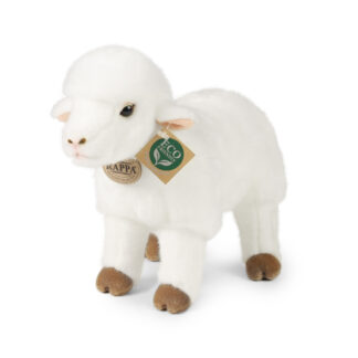 Rappa Lammas