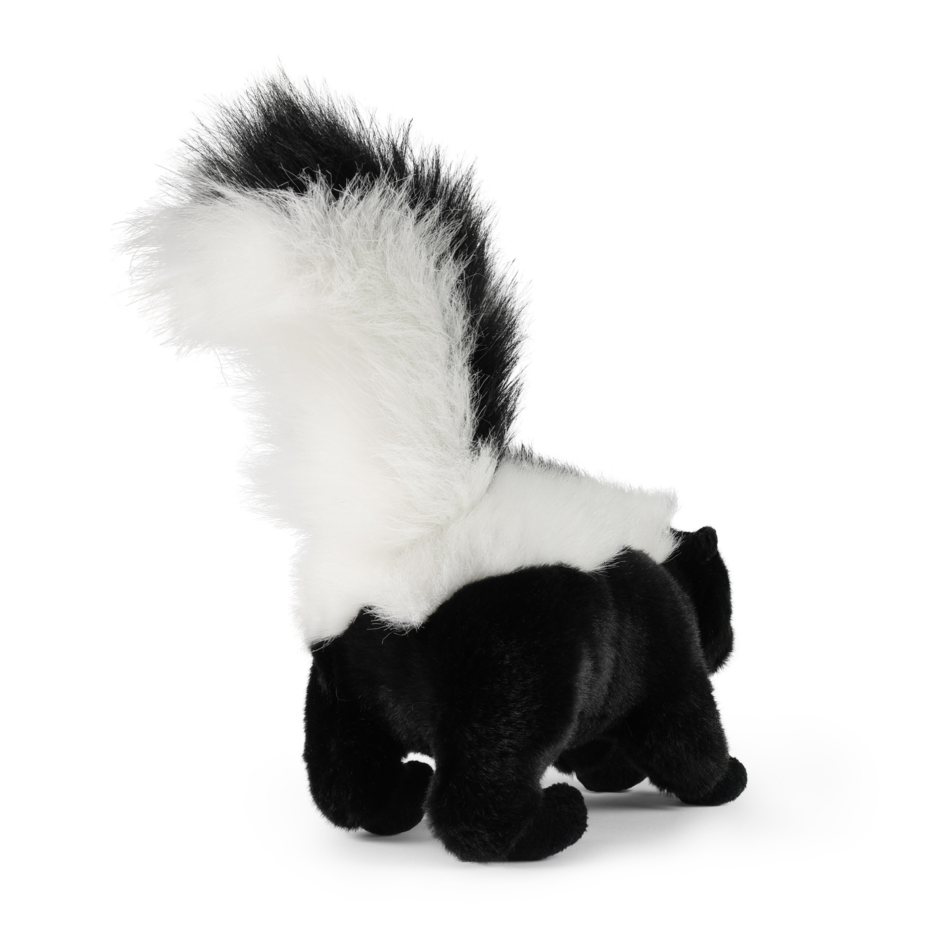 Rappa Skunk