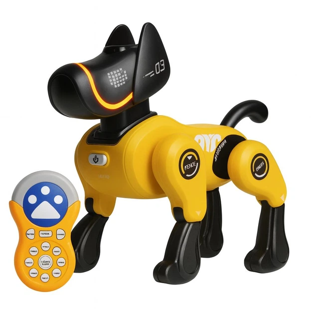 Robotkoer