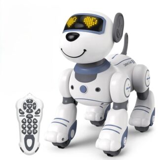 Robotkoer