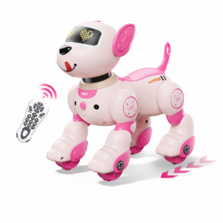 Hääljuhtimisega robotkoer